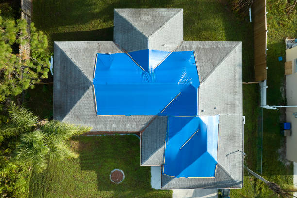 Best Roofing for New Construction  in Millington, TN